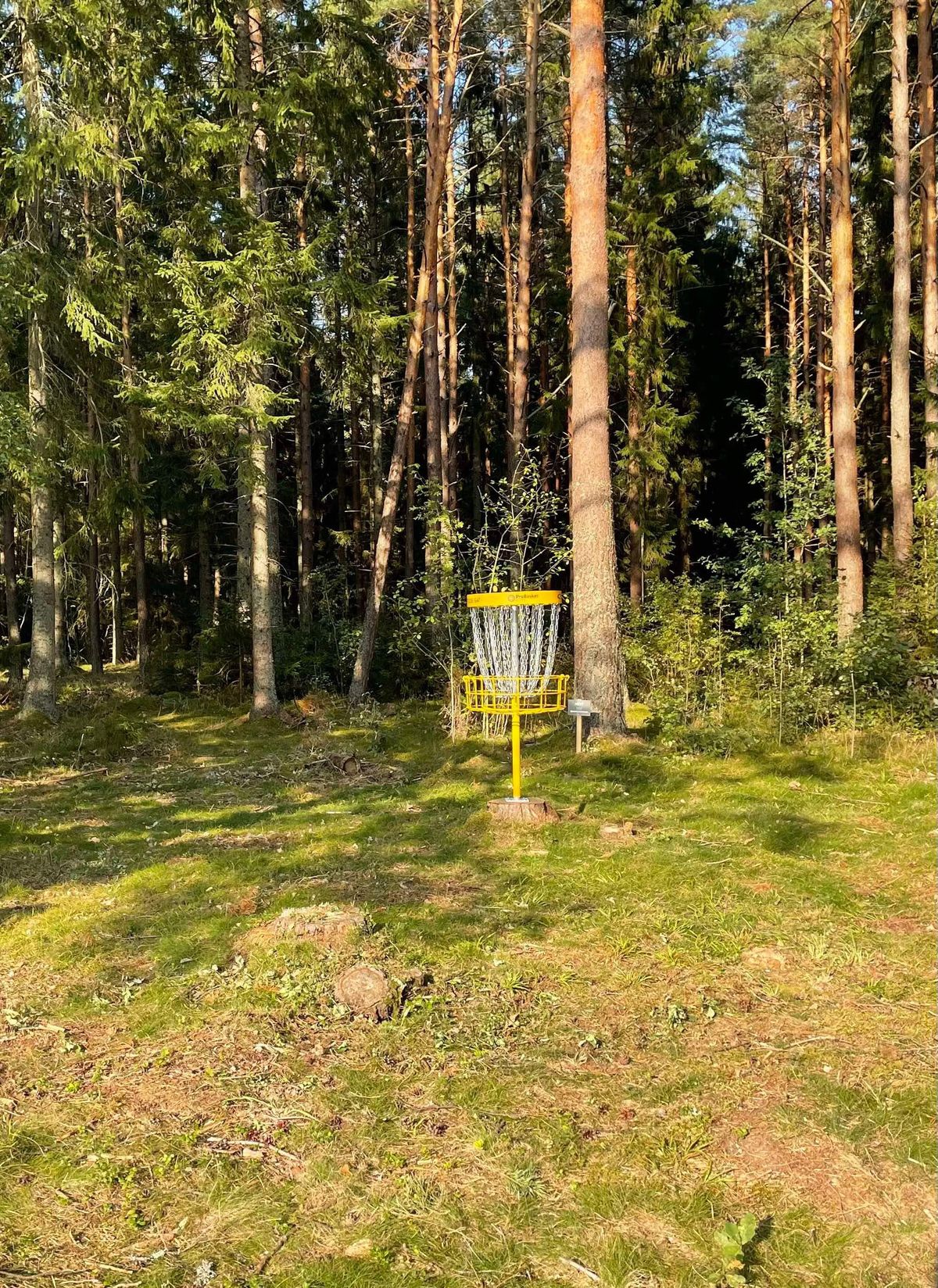 Korg hål 15
