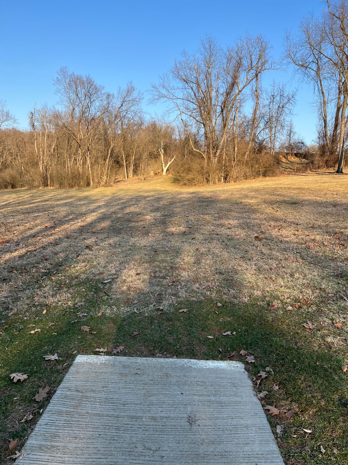 Hole 11 - Whites