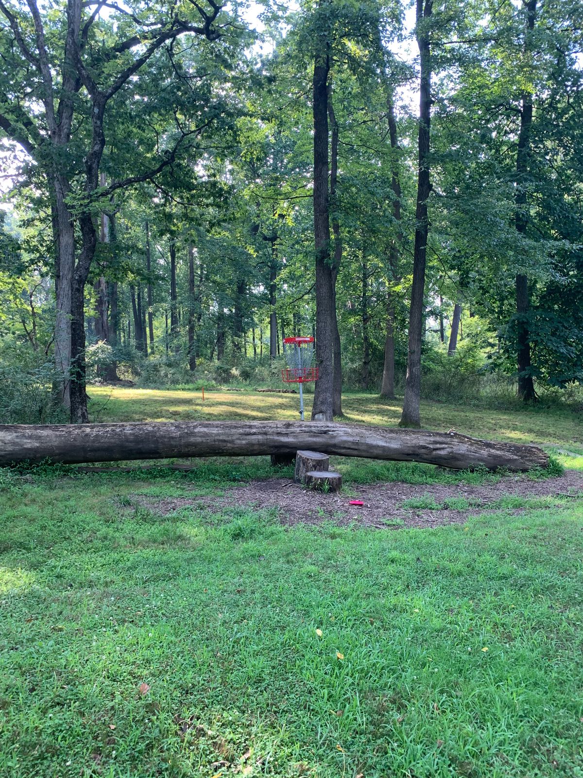 Hole 8