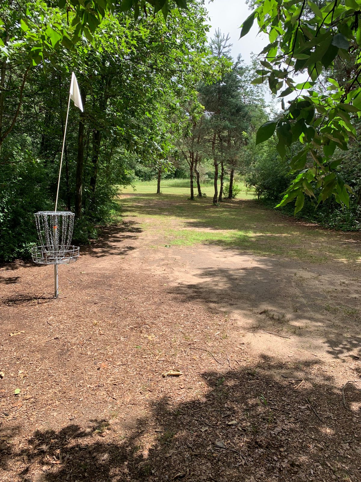 Hole 3 Basket back to Tee