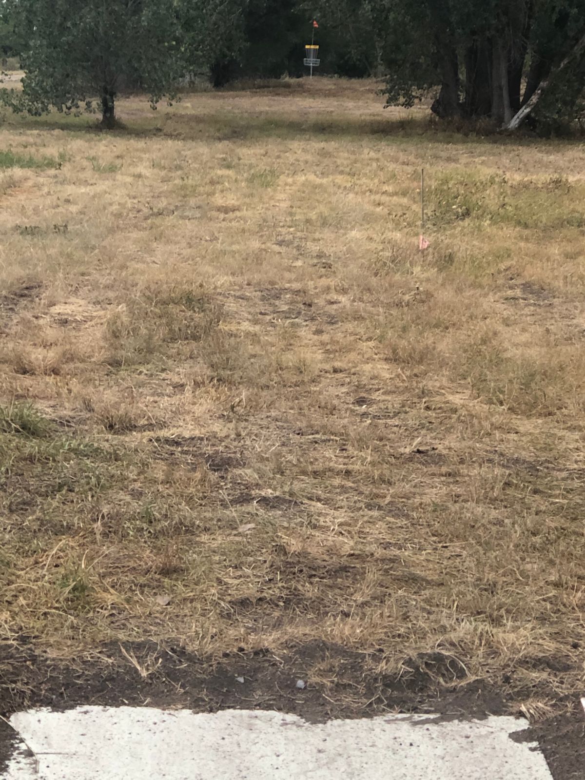 Hole 5- par 3