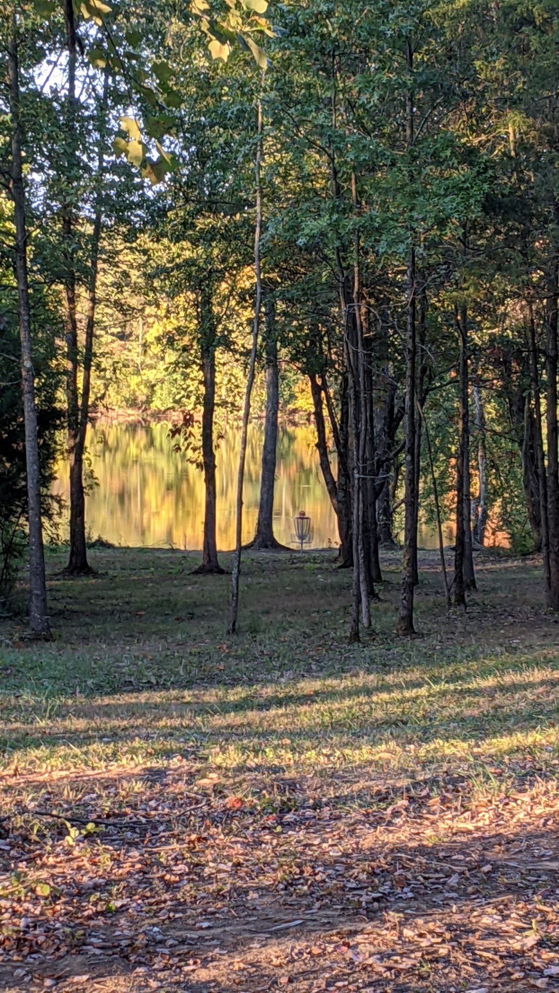 Hole 12