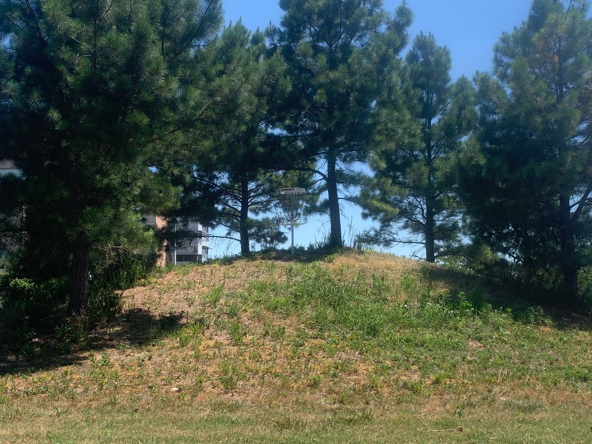Hole 14 basket: Hill used to be covered in briars until cleared