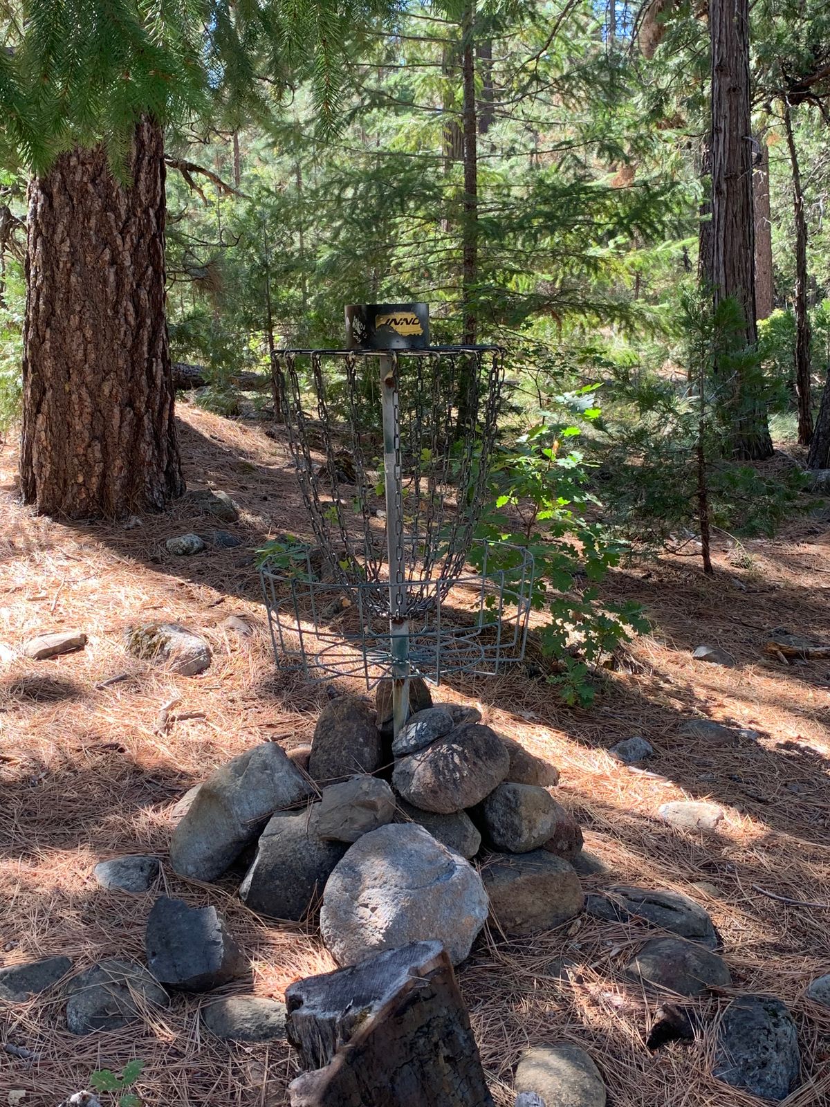 Basket for #1.  Not in view form the tee.  Seems to be slightly left of center from the tee.