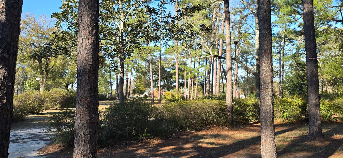 Frome hole 16 tee pad