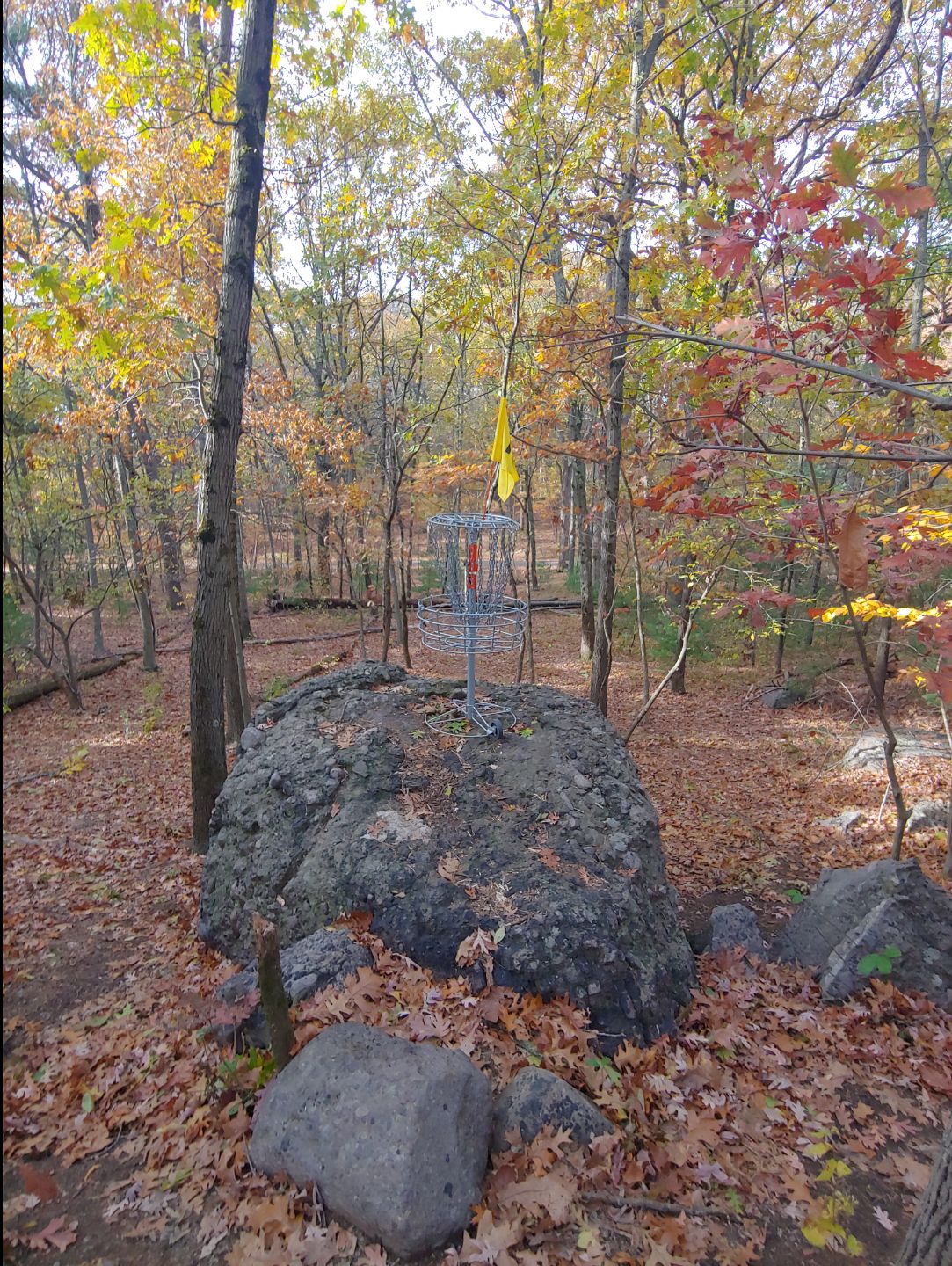 Hole 13 basket (from behind looking back down fairway)