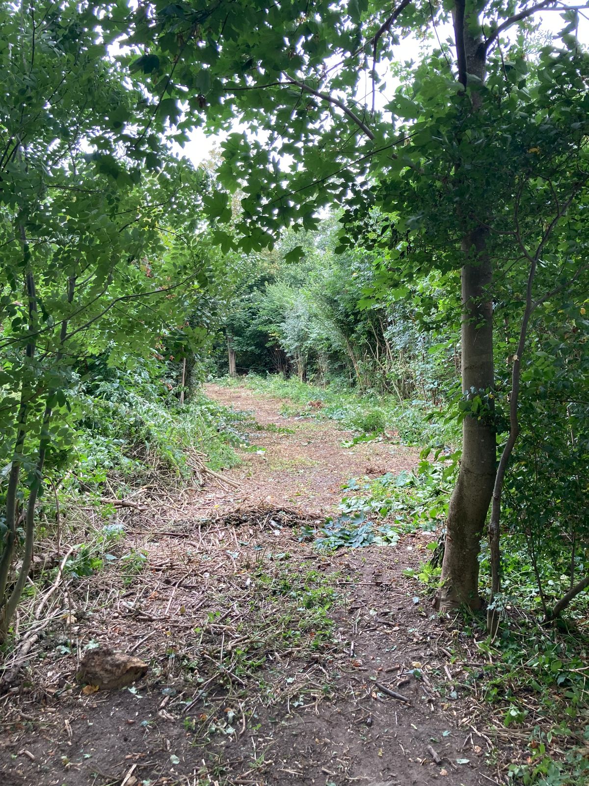 Hole 14