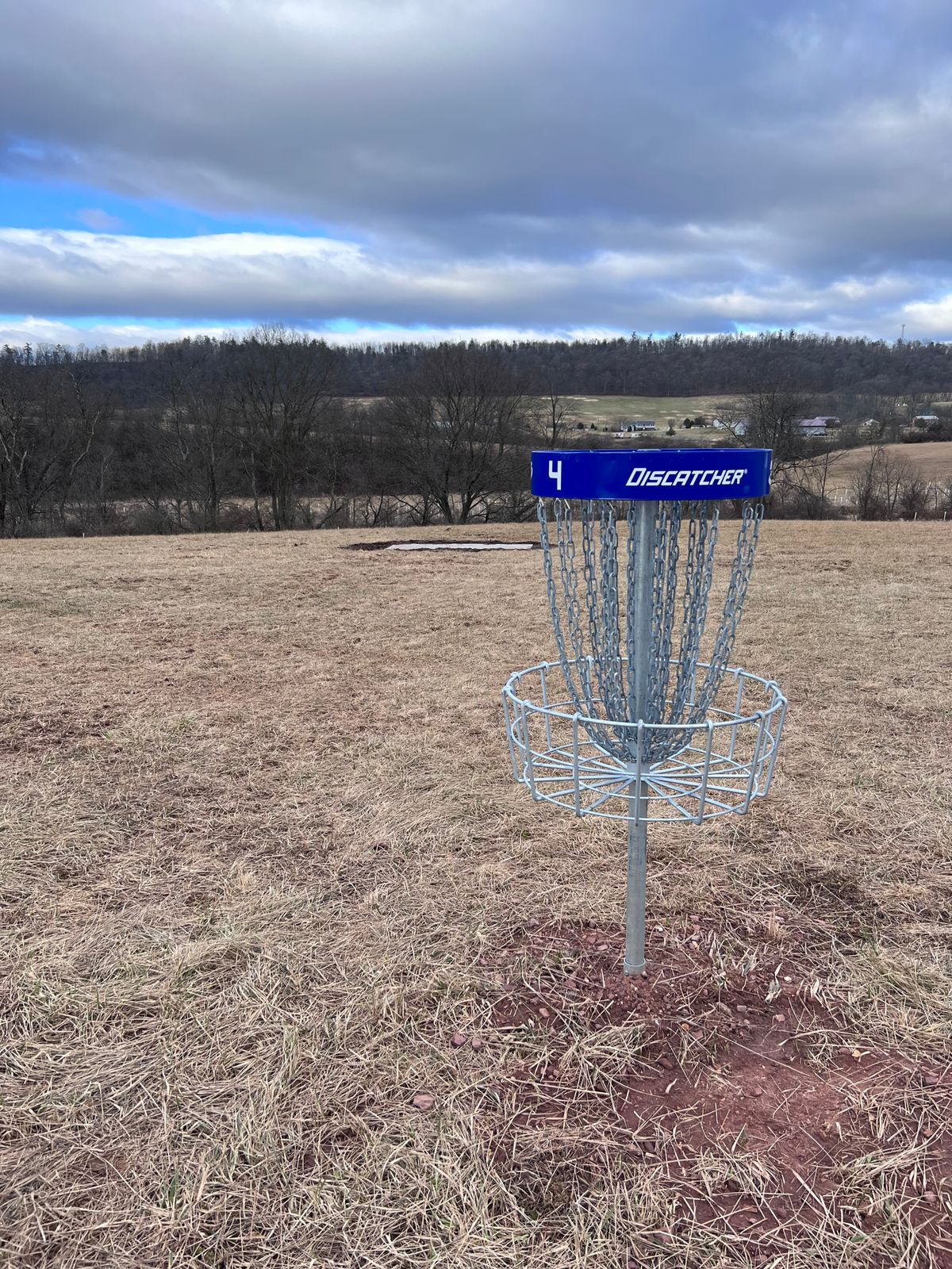 Basket #4 with tee #5 in the background.