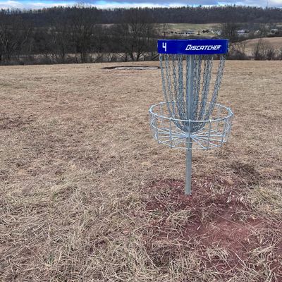 Basket #4 with tee #5 in the background.