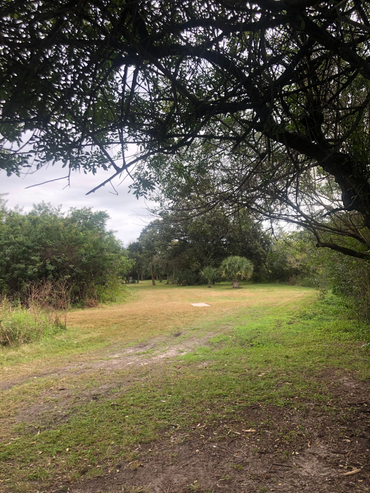 Hole 2