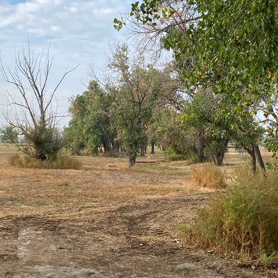Hole 2 tee