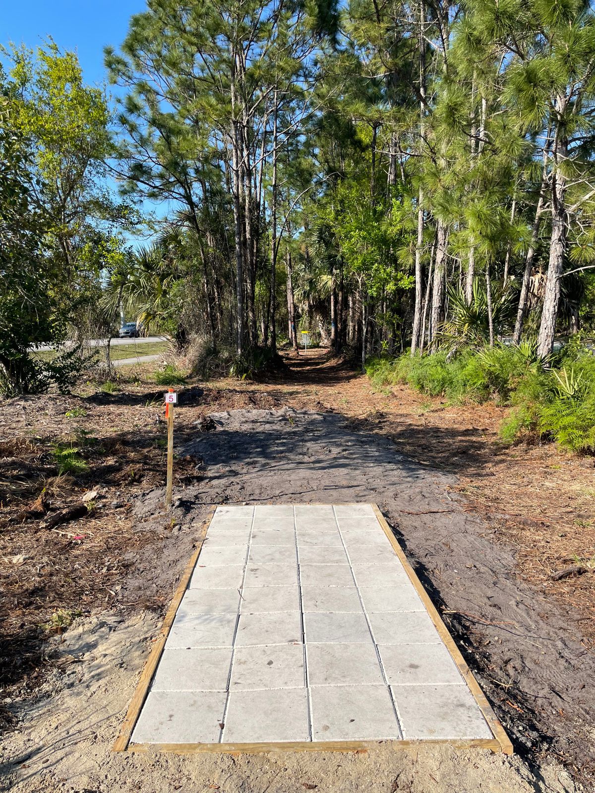 Hole 5 - Double Mando marked on two trees 15 feet from basket.