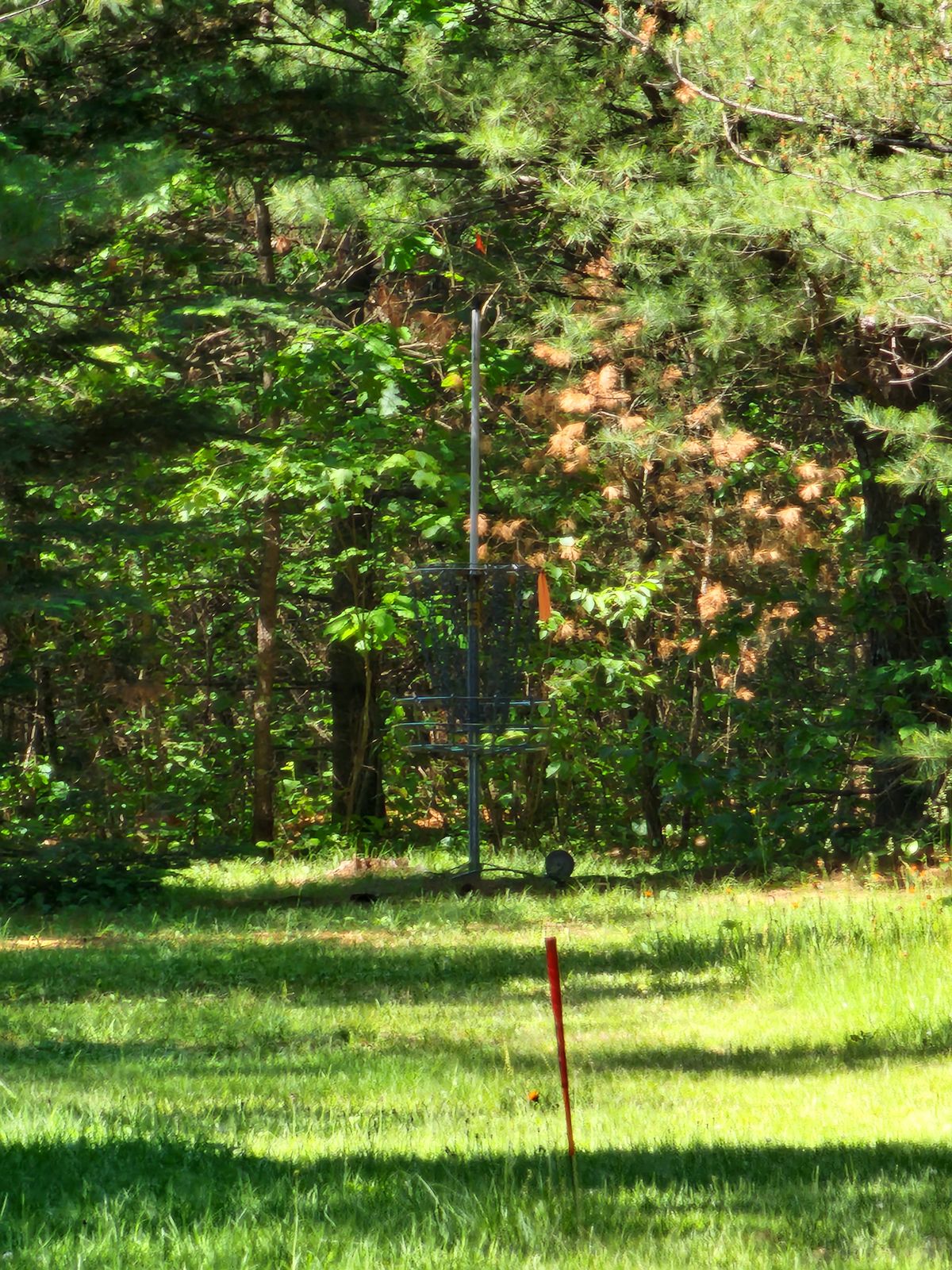 Hole 15 Close-Up