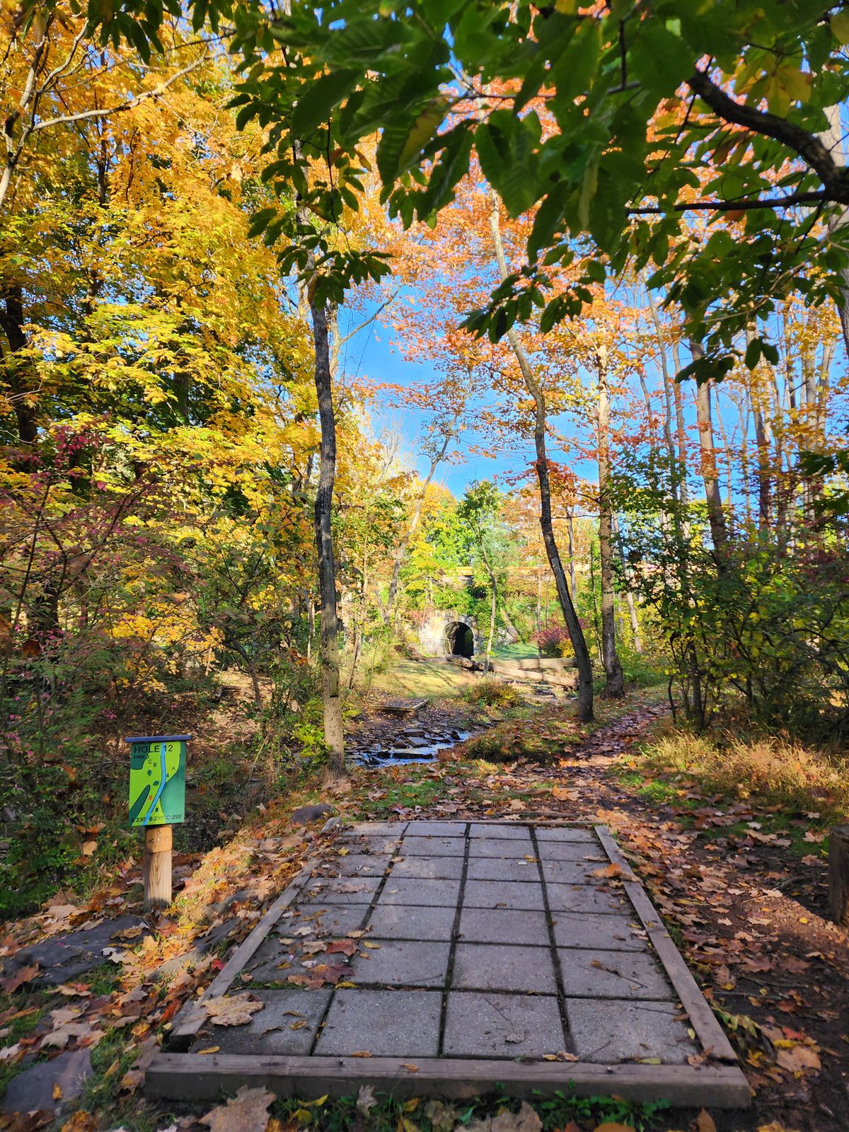 This course is an absolute beauty in the fall
