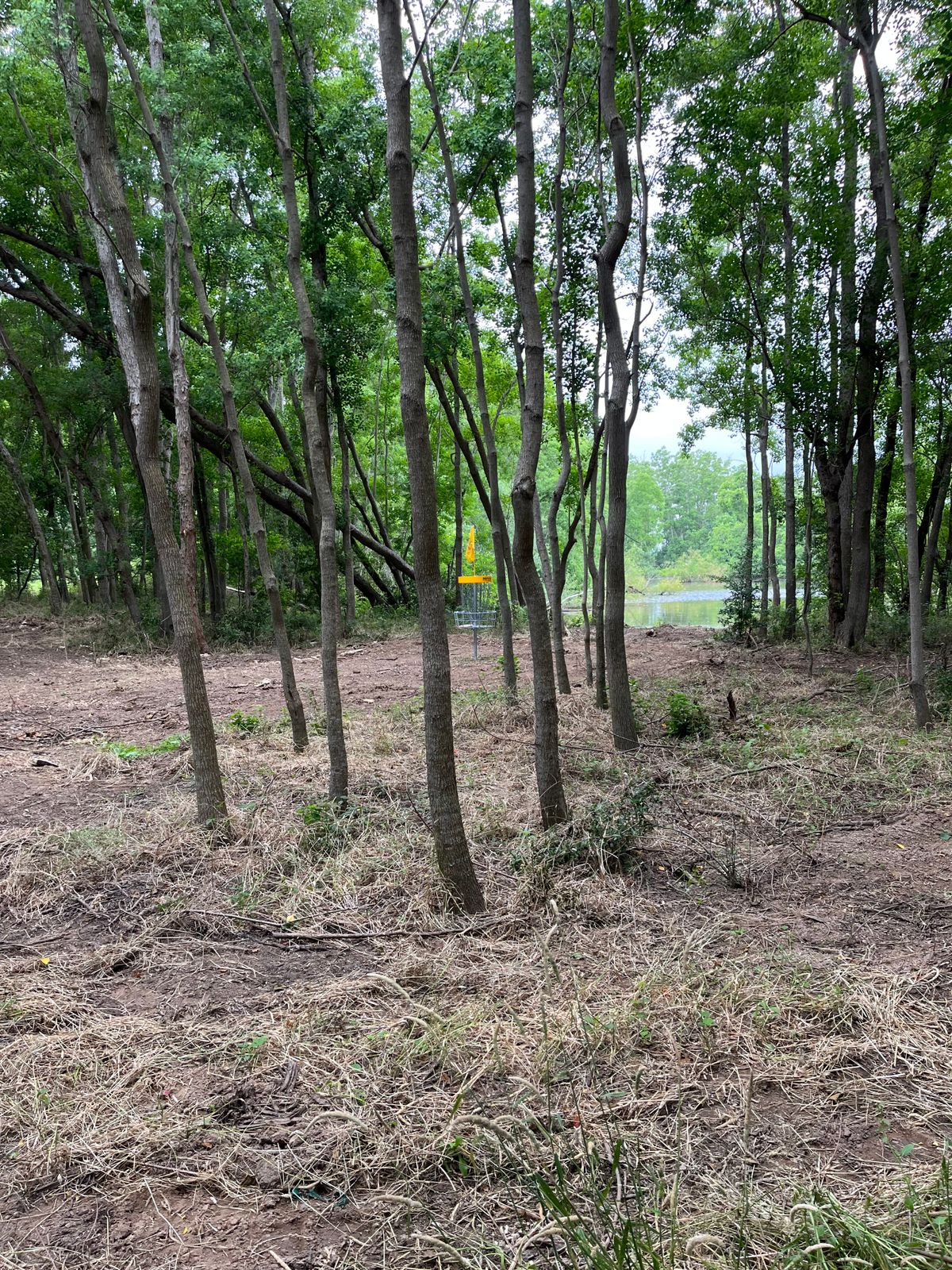 Great improvements to hole 14!