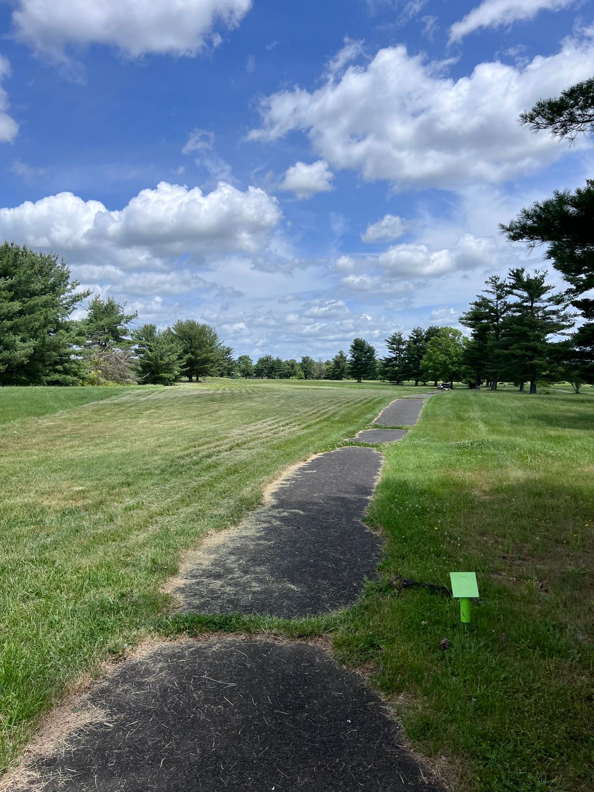 Hole 1 tee