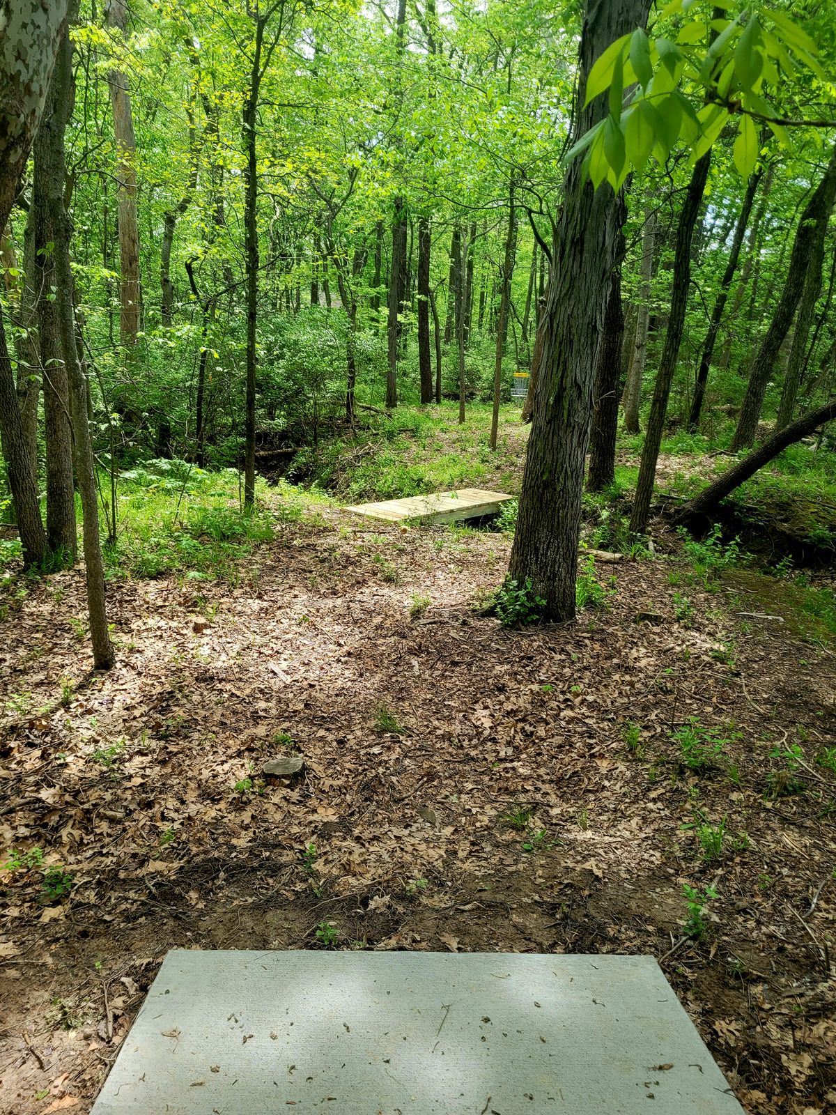 Hole 4 Tee