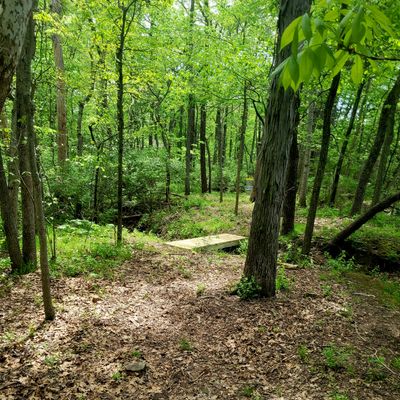 Hole 4 Tee