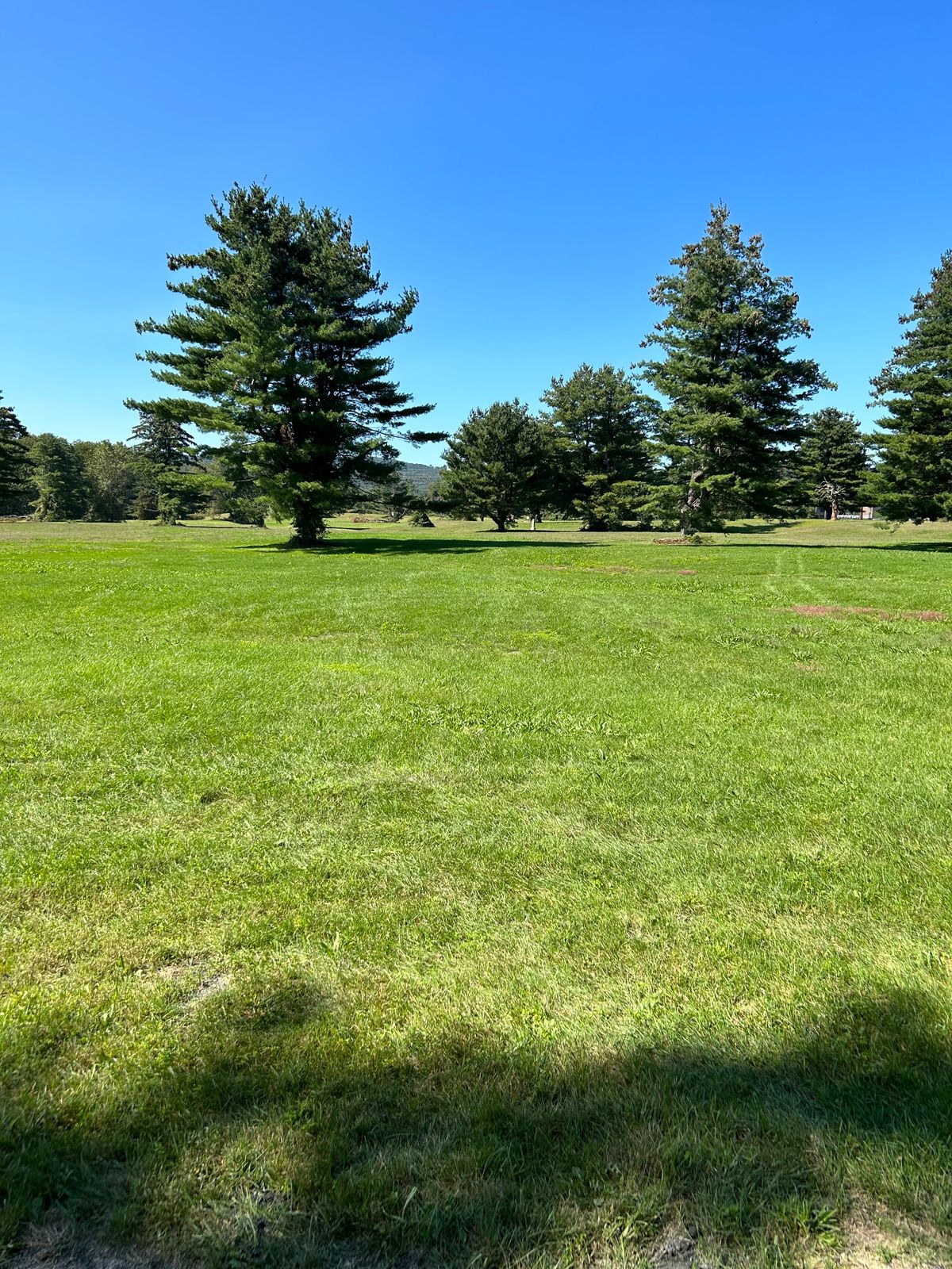 Hole 15