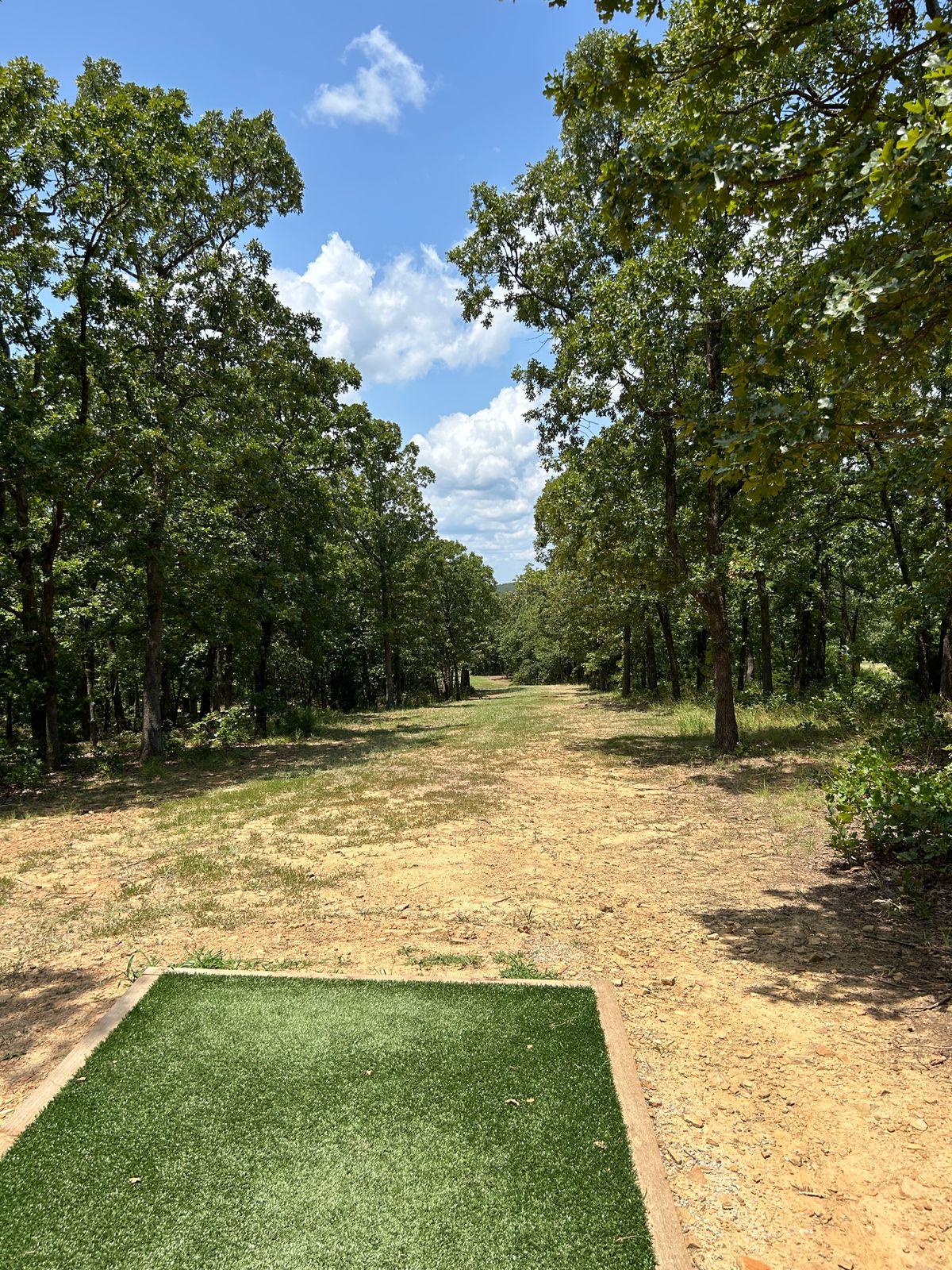 Hole 3 Tee