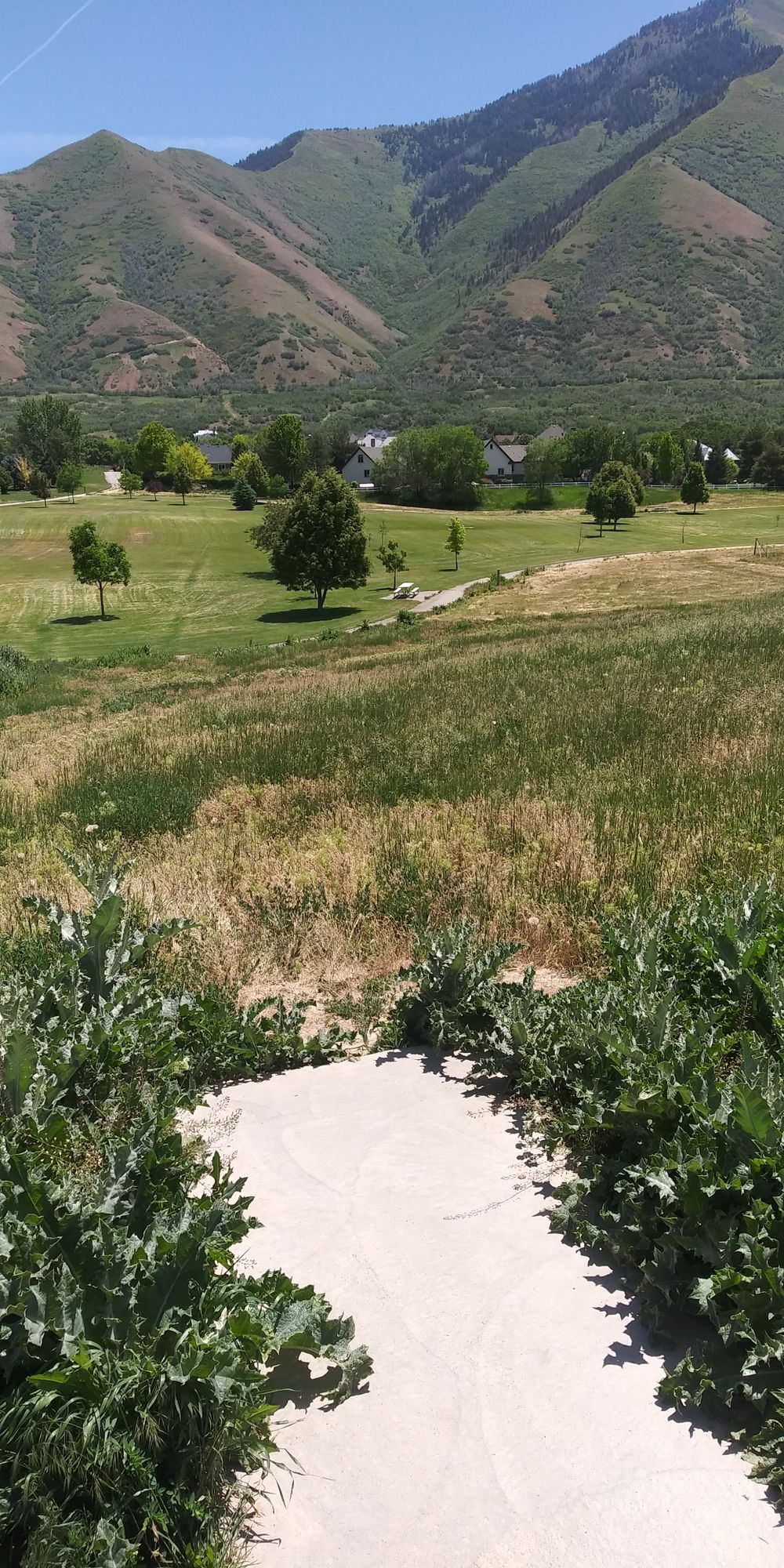 View from Tee 1.