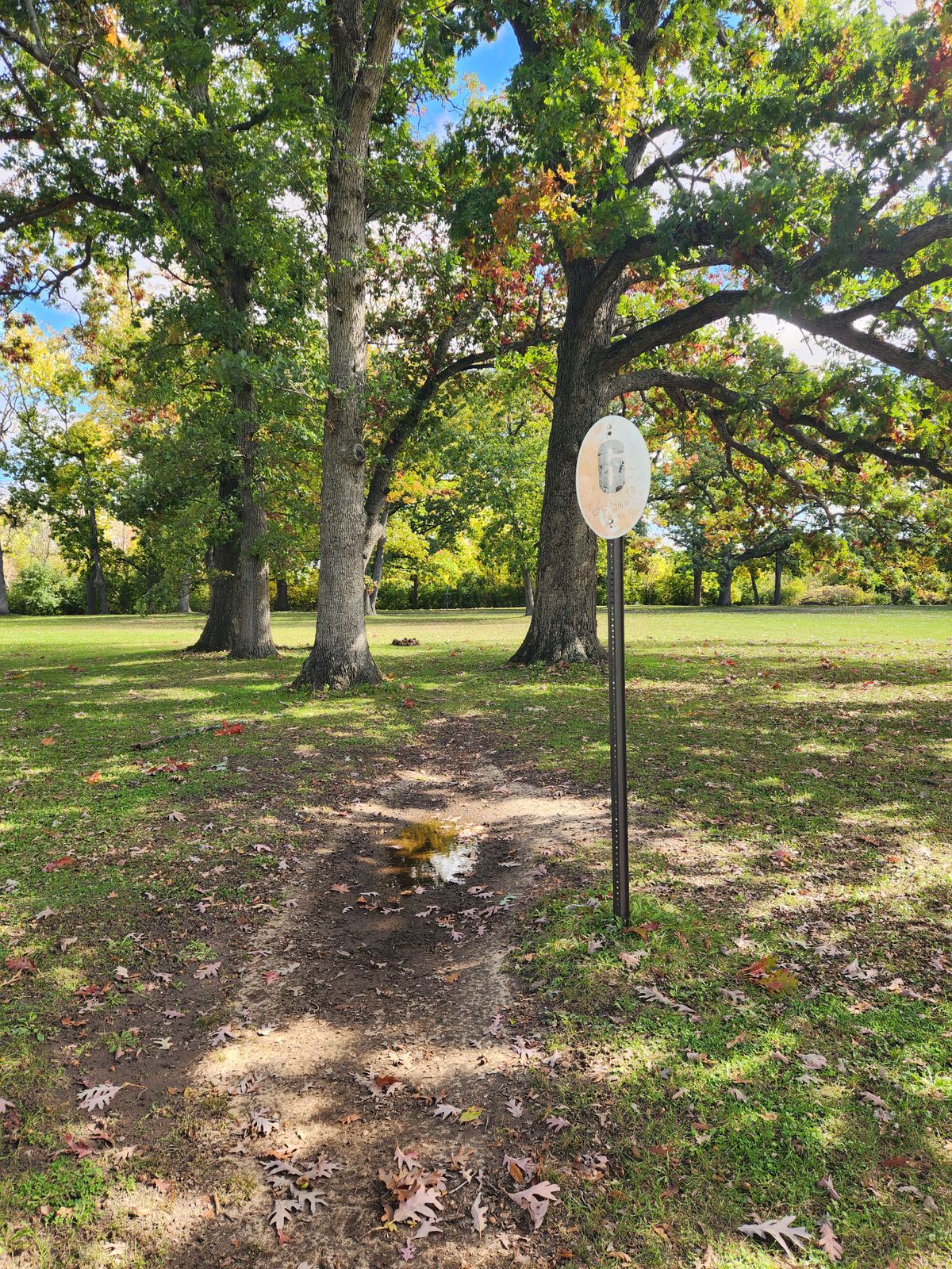 Hole 6 short tee