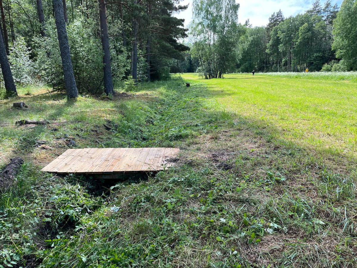 Hål 11 fairway.