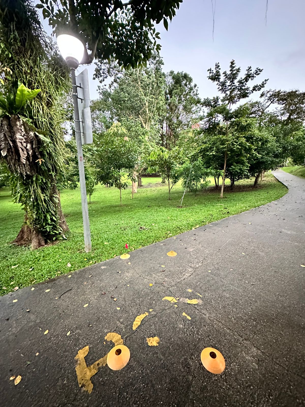 Hole 17 Teepad