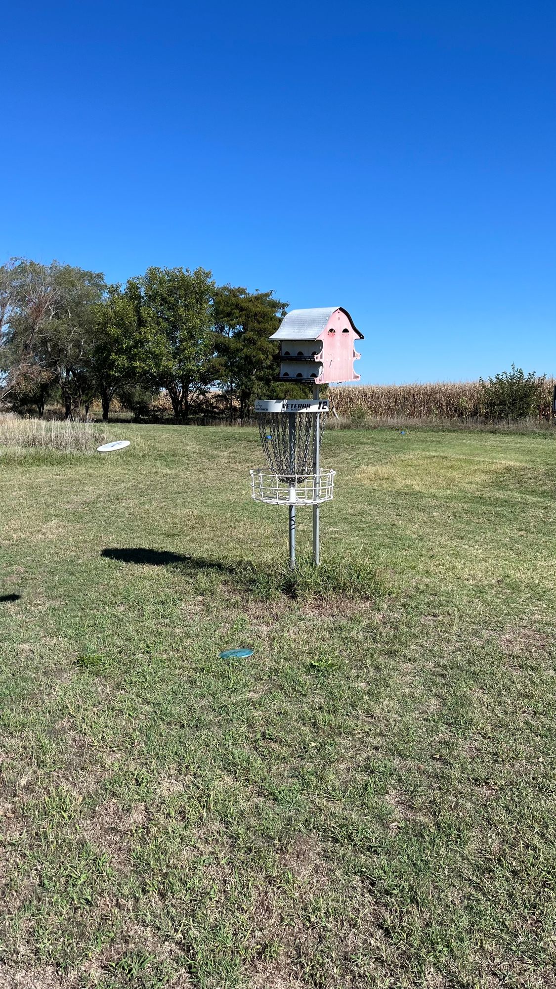 The pole for the birdhouse is kind of in the way
