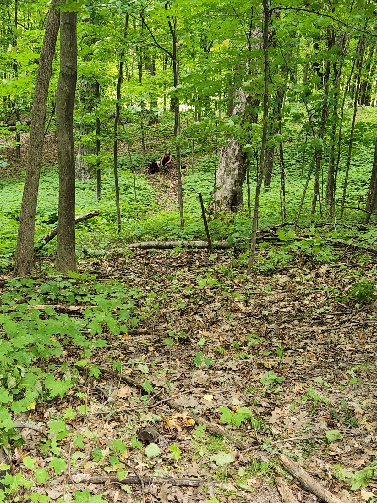 Hole 2 fairway