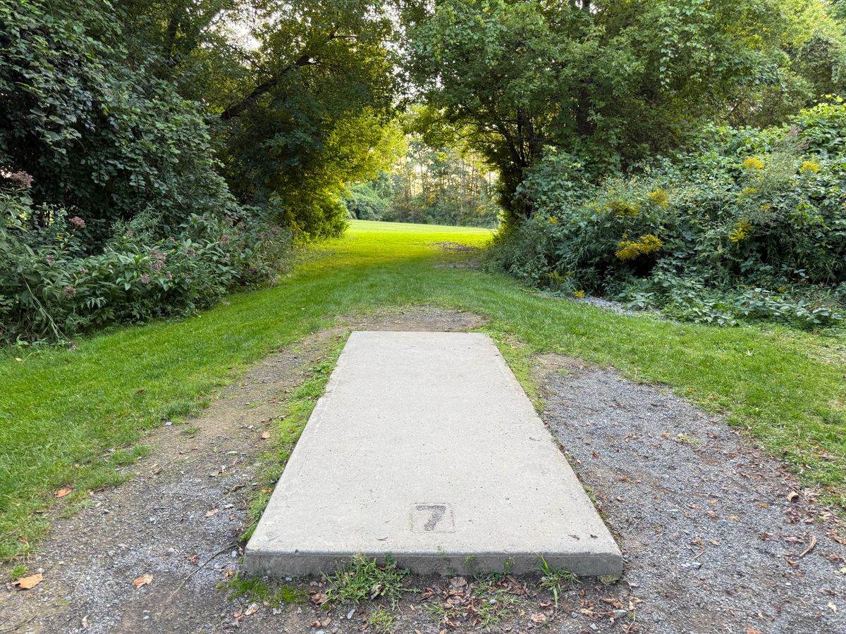 Hole 7 Tee