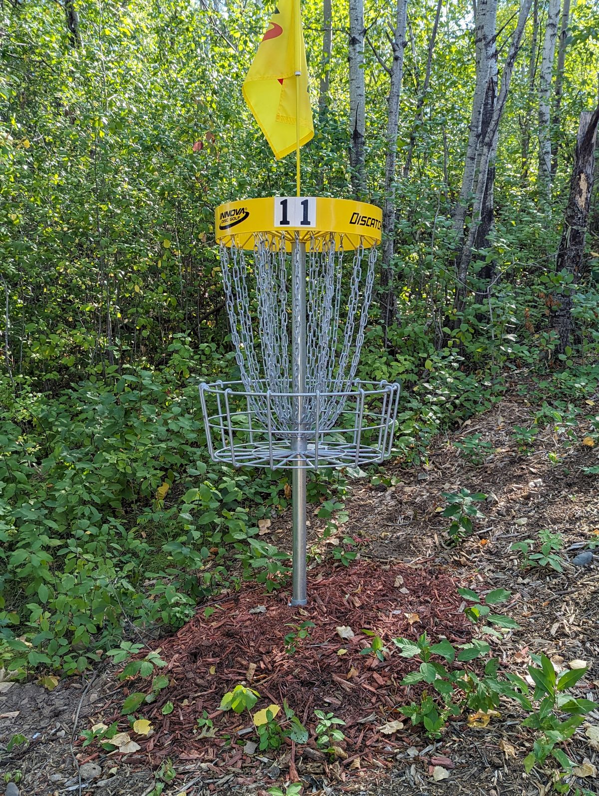 Long Basket