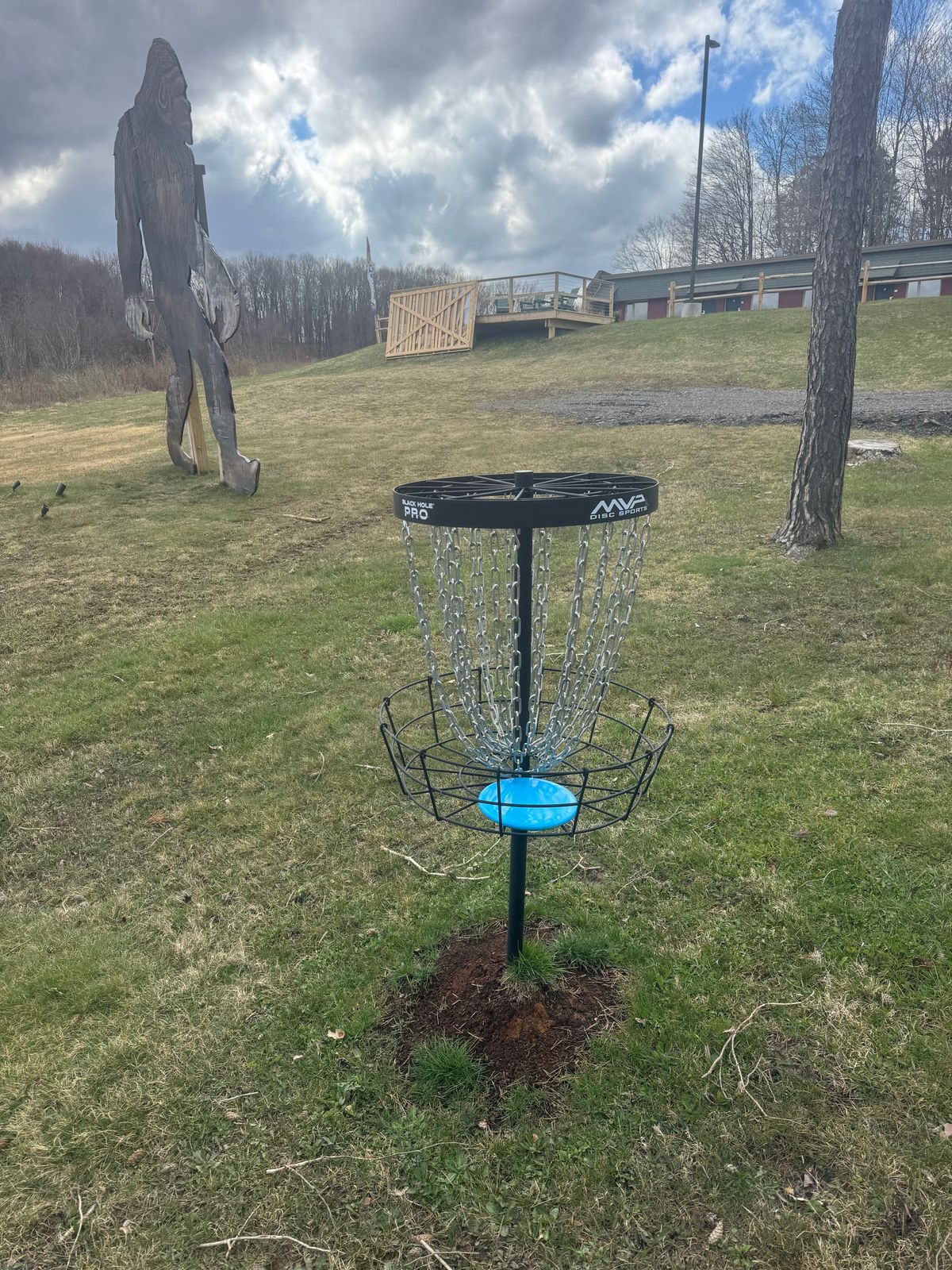 Hole 2 basket.