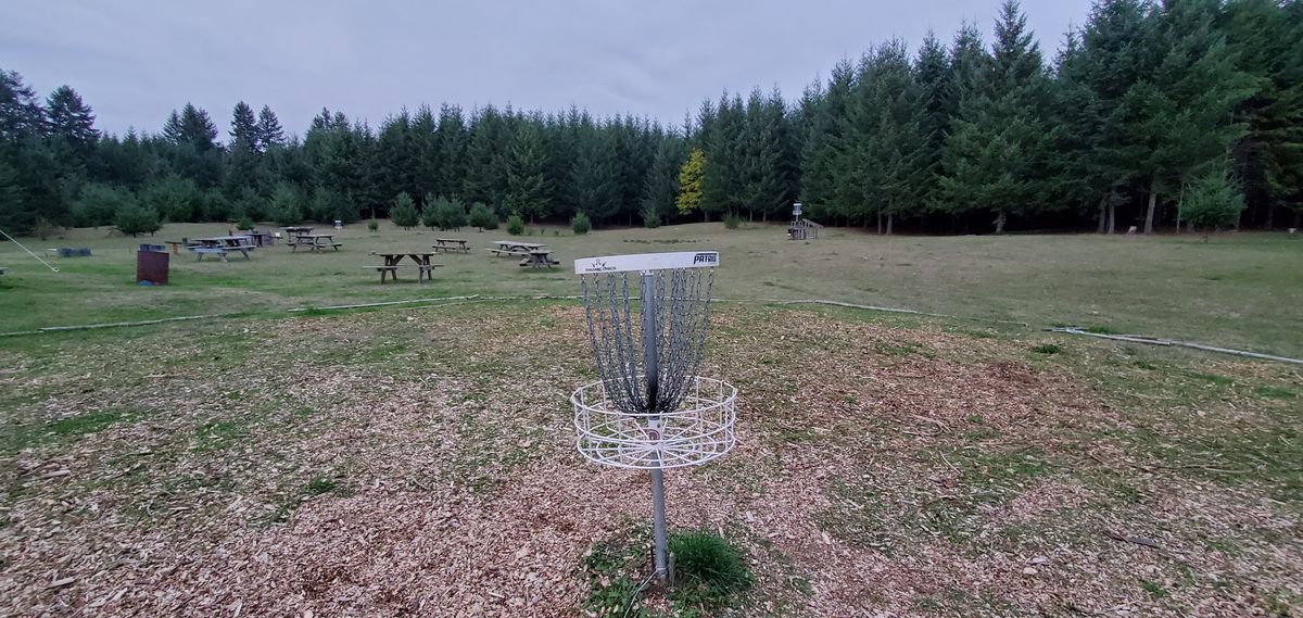 Oh give me a home, where the doggies roam. Where the pros and the amateurs play.