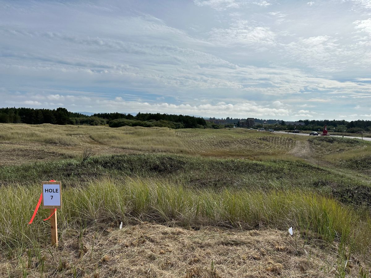 Hole 10 temporary tee