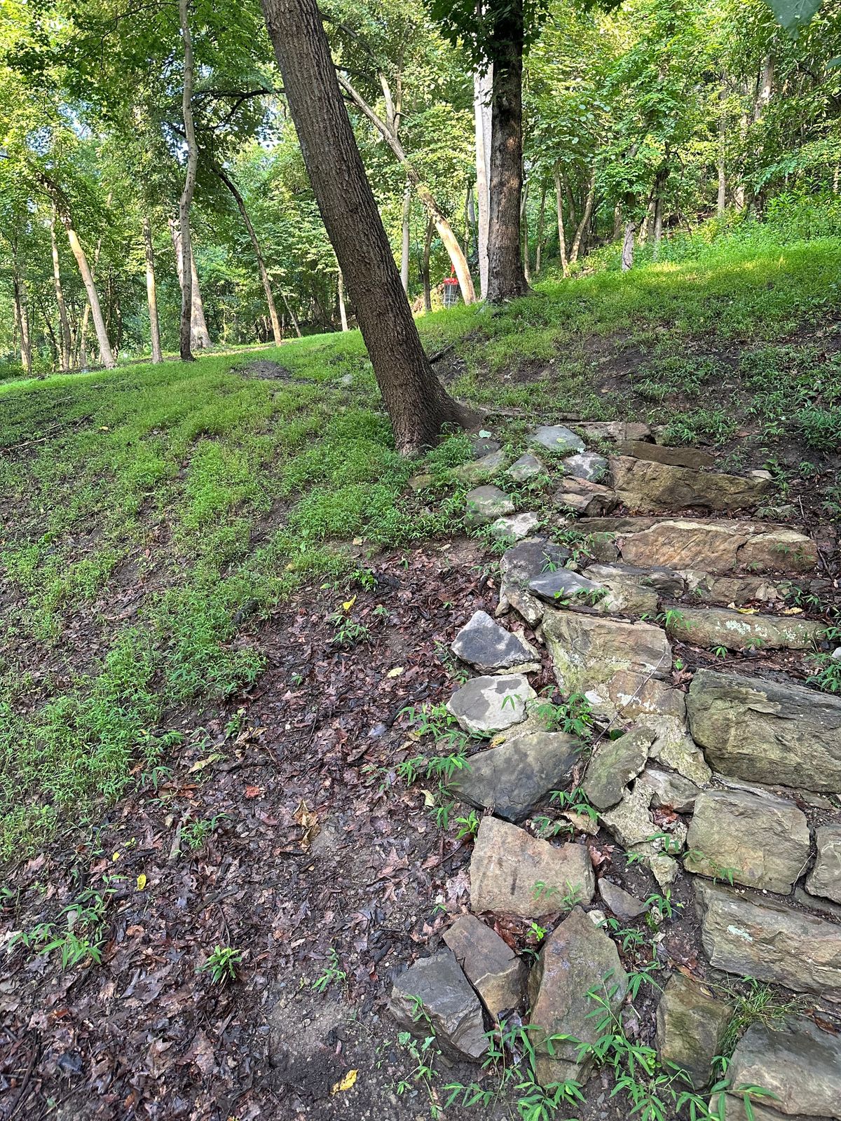 Steps up toward #5 baskets from middle of fairway / creek.
