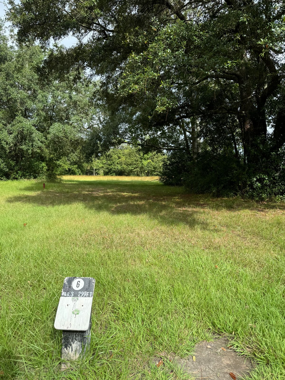 Hole 6 tee