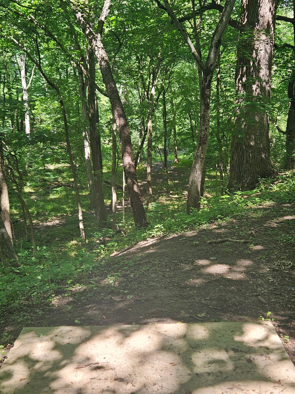 Hole 7 teepad