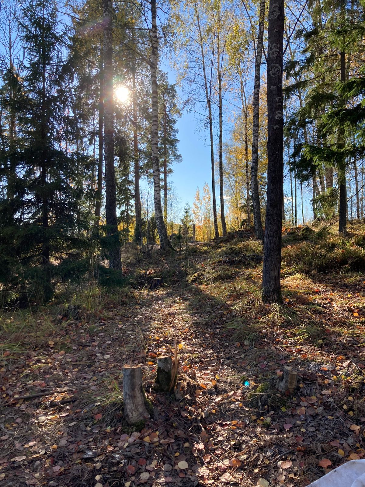Väylä #14