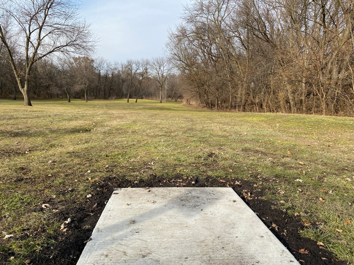 Hole 3 teepad. Basket is tucked back in the trees in a protected green.