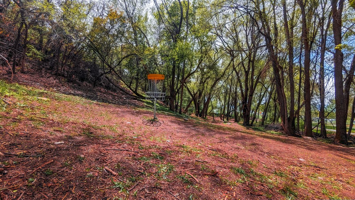 Hole 5 long