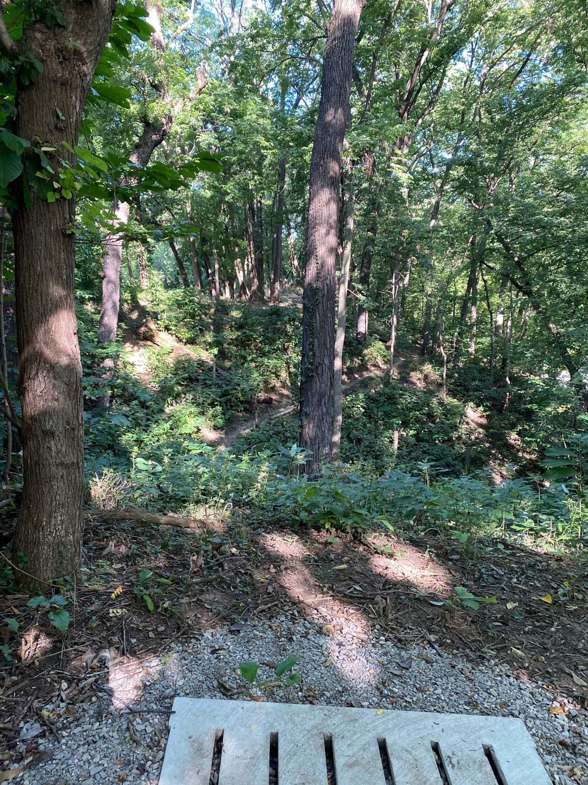 Hole 4 tee pad.