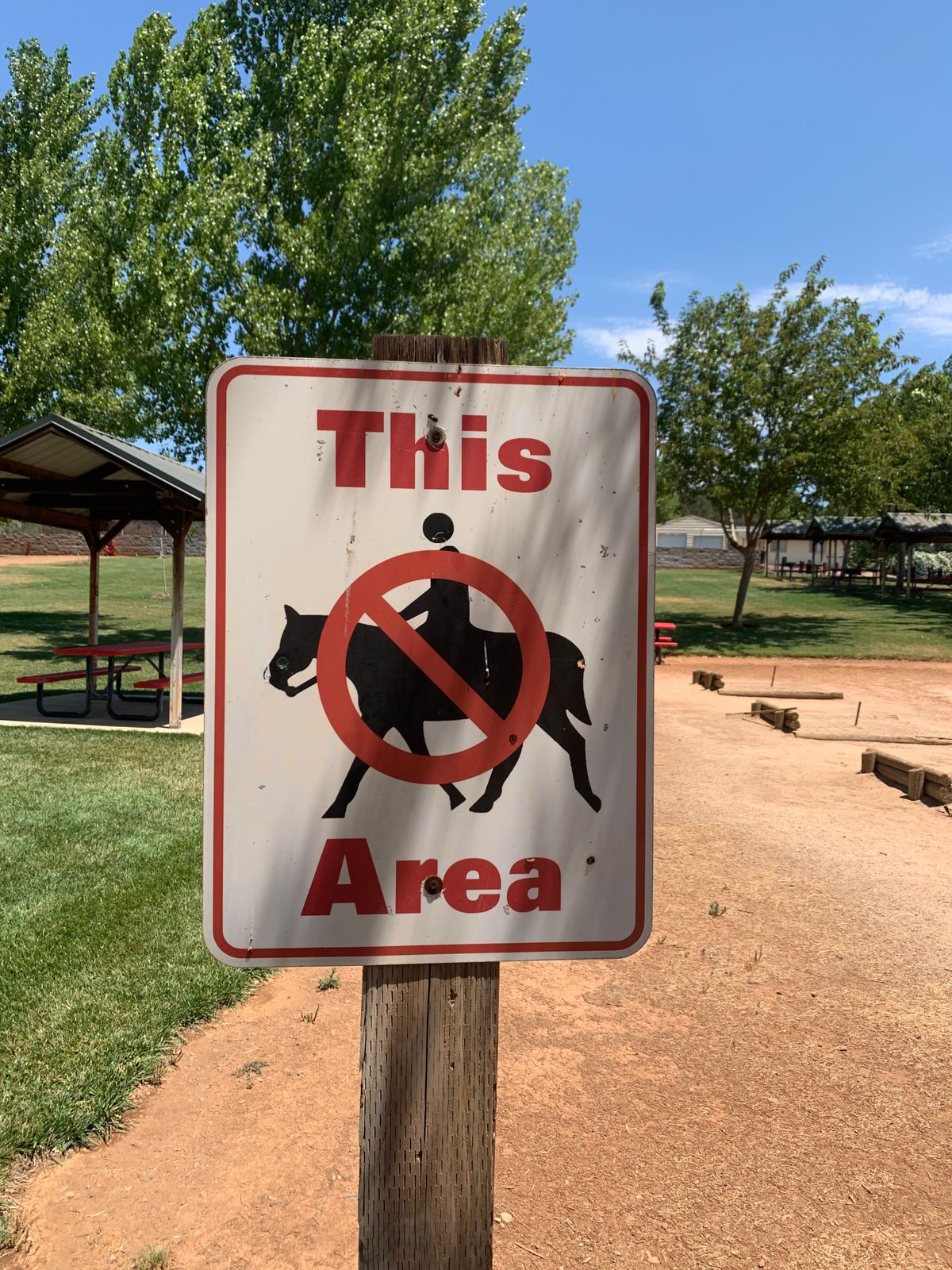 No horses