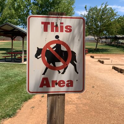 No horses