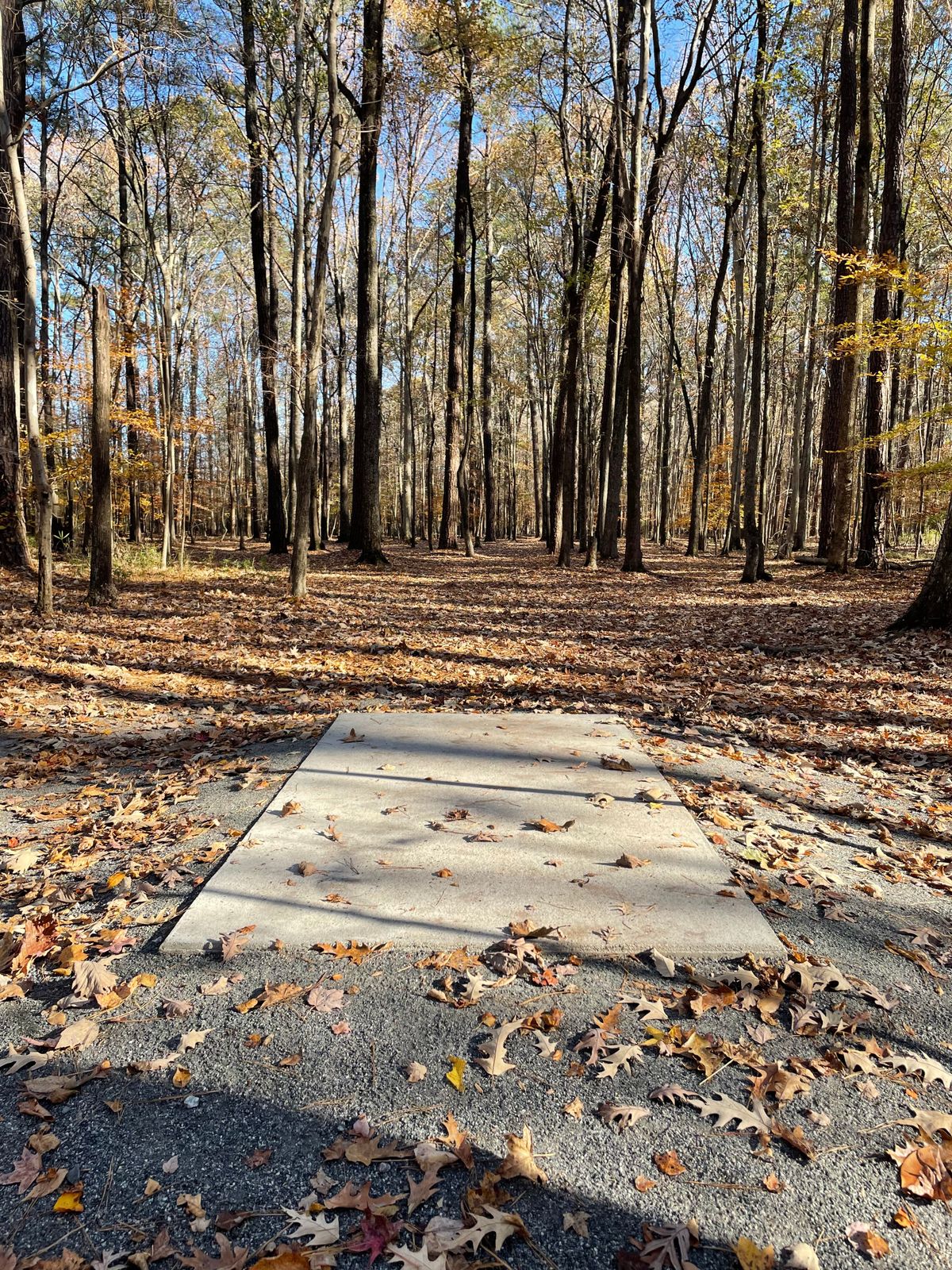 Hole 1 teepad