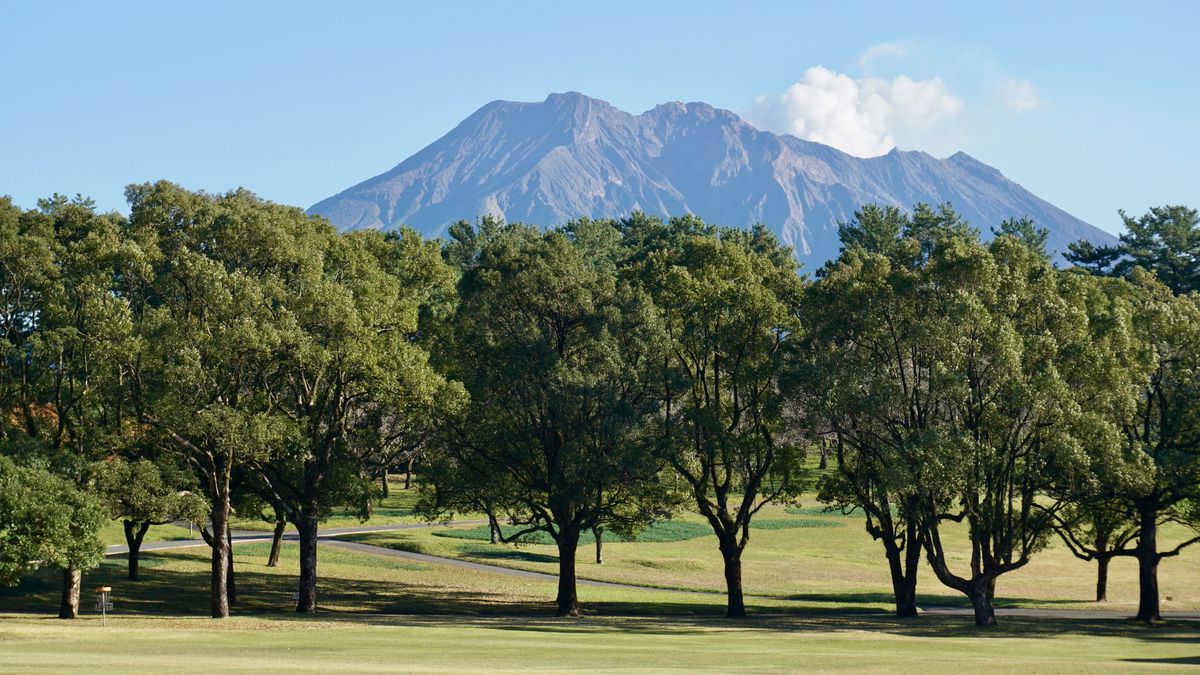 Course views with basket 4 in shot