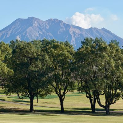 Course views with basket 4 in shot