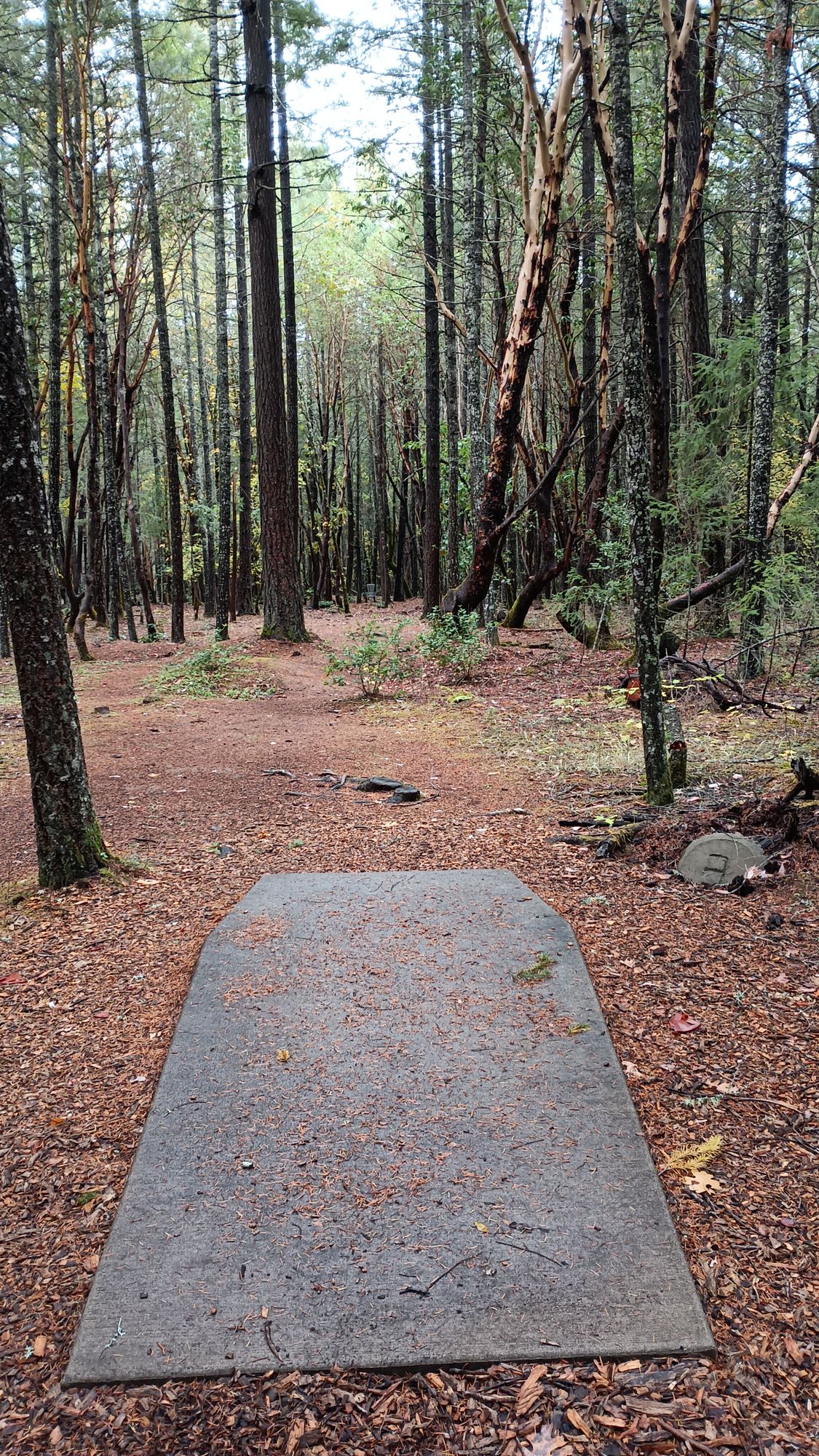 Hole 3