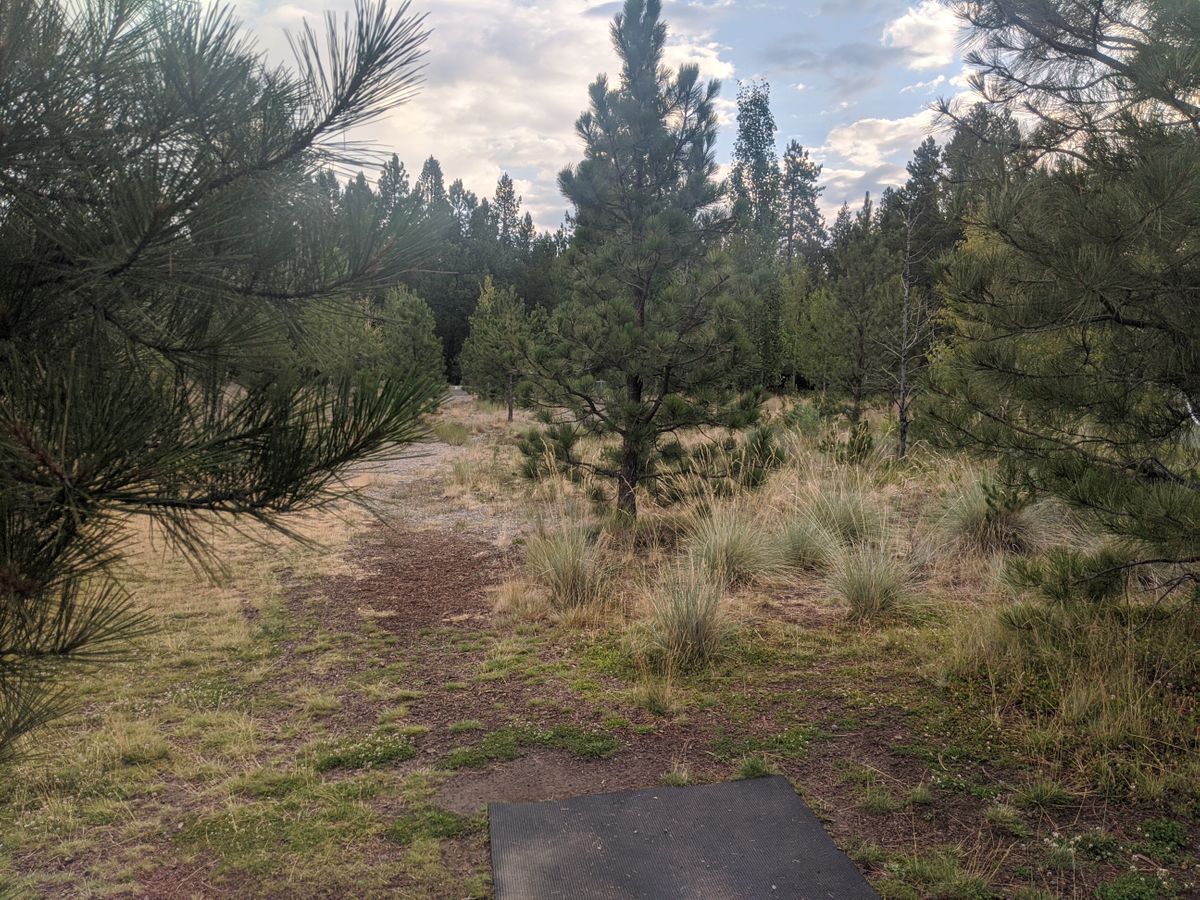 Hole #3