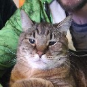 User avatar image